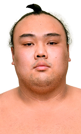 Portrait of the sumo wrestler