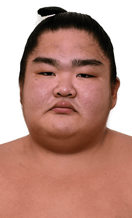 Portrait of the sumo wrestler