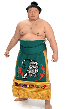 Portrait of the sumo wrestler