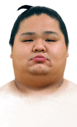 Portrait of the sumo wrestler