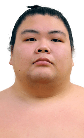 Portrait of the sumo wrestler