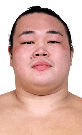 Portrait of the sumo wrestler