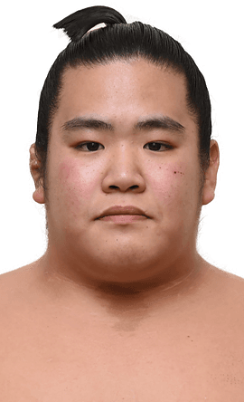 Portrait of the sumo wrestler