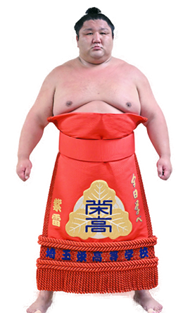 Portrait of the sumo wrestler