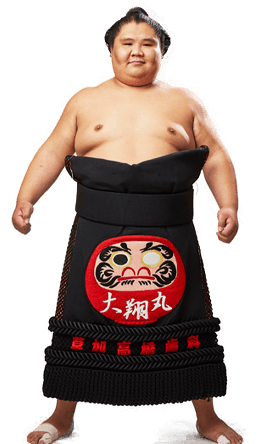 Portrait of the sumo wrestler