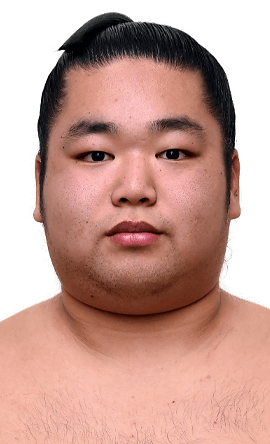 Portrait of the sumo wrestler