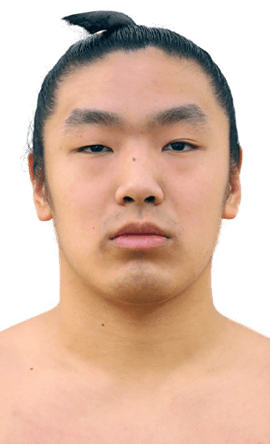 Portrait of the sumo wrestler