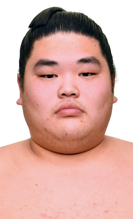 Portrait of the sumo wrestler