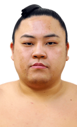 Portrait of the sumo wrestler