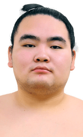 Portrait of the sumo wrestler