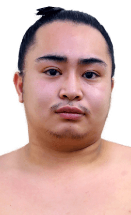 Portrait of the sumo wrestler