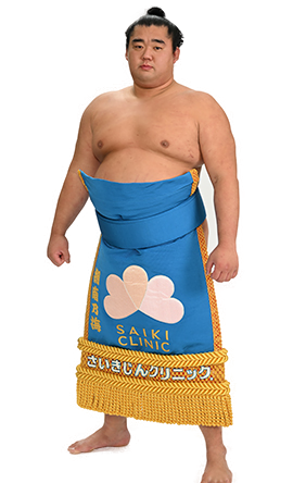 Portrait of the sumo wrestler