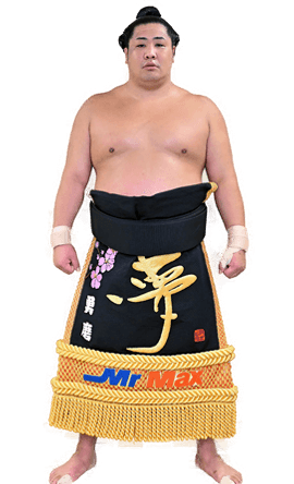 Portrait of the sumo wrestler