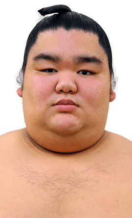 Portrait of the sumo wrestler