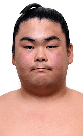 Portrait of the sumo wrestler