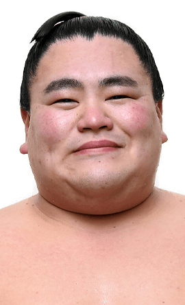 Portrait of the sumo wrestler