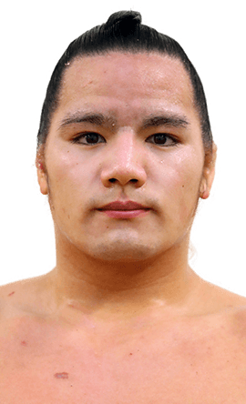 Portrait of the sumo wrestler