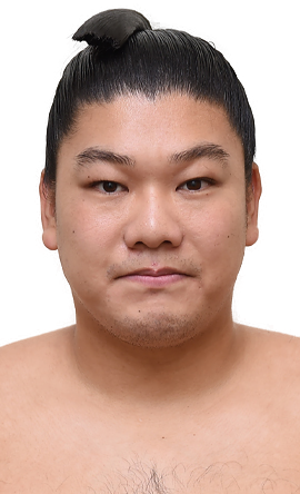 Portrait of the sumo wrestler