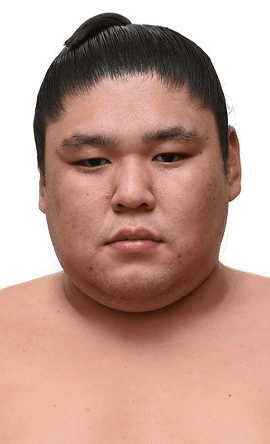 Portrait of the sumo wrestler