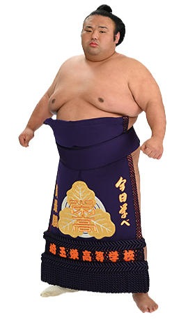 Portrait of the sumo wrestler