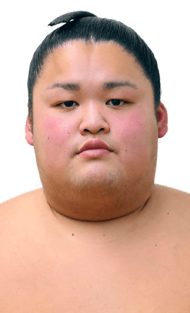 Portrait of the sumo wrestler