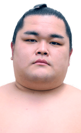 Portrait of the sumo wrestler