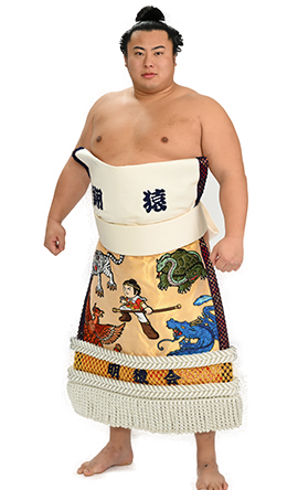 Portrait of the sumo wrestler