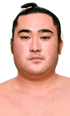 Portrait of the sumo wrestler