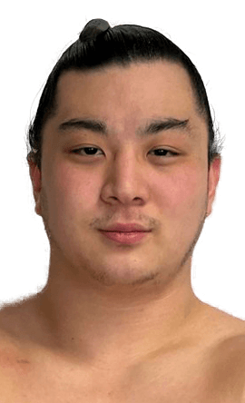 Portrait of the sumo wrestler