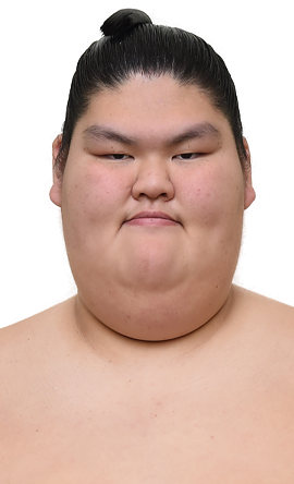 Portrait of the sumo wrestler