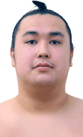 Portrait of the sumo wrestler