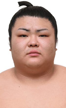 Portrait of the sumo wrestler