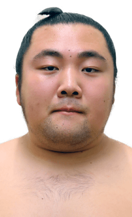 Portrait of the sumo wrestler