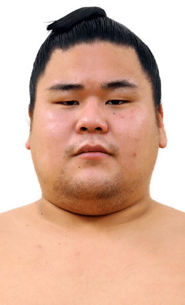 Portrait of the sumo wrestler