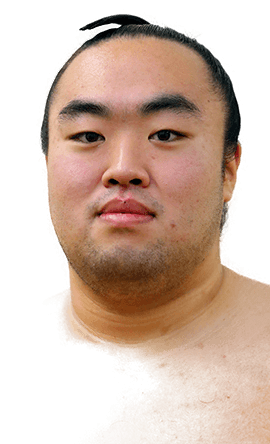 Portrait of the sumo wrestler