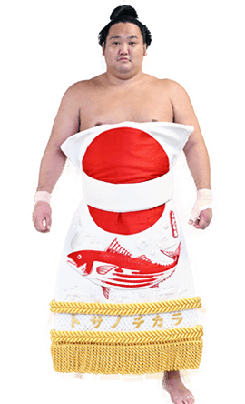 Portrait of the sumo wrestler