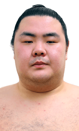 Portrait of the sumo wrestler