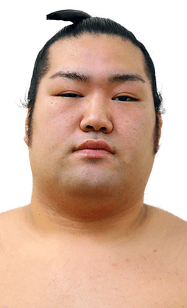 Portrait of the sumo wrestler