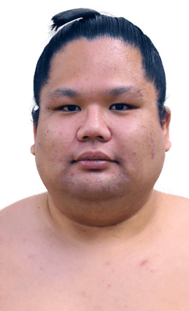 Portrait of the sumo wrestler