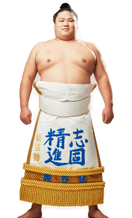 Portrait of the sumo wrestler