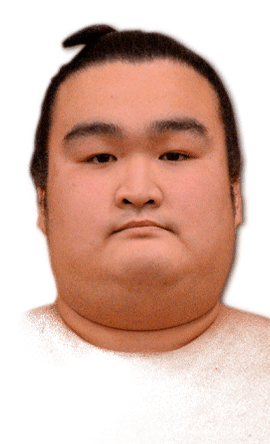 Portrait of the sumo wrestler