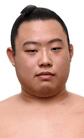 Portrait of the sumo wrestler