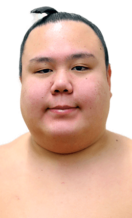 Portrait of the sumo wrestler