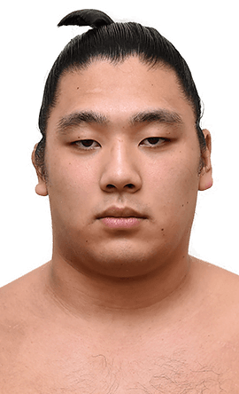 Portrait of the sumo wrestler