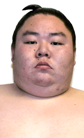 Portrait of the sumo wrestler