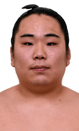 Portrait of the sumo wrestler