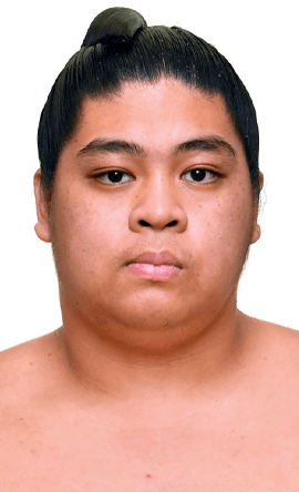 Portrait of the sumo wrestler