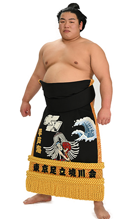 Portrait of the sumo wrestler