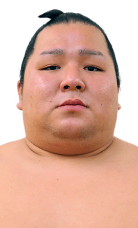 Portrait of the sumo wrestler