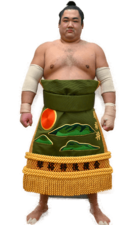 Portrait of the sumo wrestler